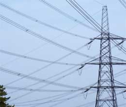 panic reaction over power cut