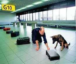This device can sniff out a bomb from 20m away