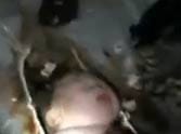 baby is rescued after being flushed down the toilet