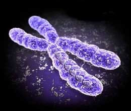 past life karma cause serious diseases