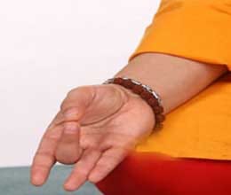 mantra siddhi indication 