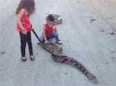 palestinian kids ride snake