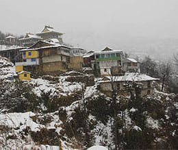 The car skidded on ice, two tourists died