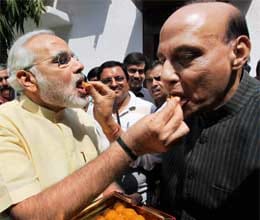 narendra modi will lead bjp in lok sabha election