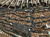 Rumored to be explosive in Noida