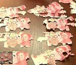termites destroy fortune 400000 yuan