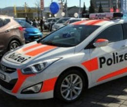 fake police car keeps burglars away