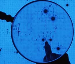  human dna cannot be patented
