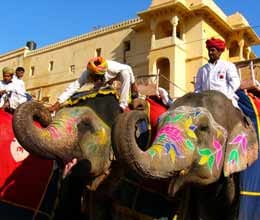 elephant riding at amber fort