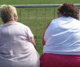 lincolmshire fattest town