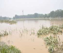 ?flood in sitarganj