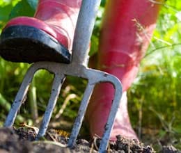 woman buries husband in backyard