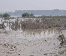 water level of yamuna decreased, people began to return home