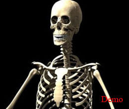 skeleton in farm house of former bsp mla