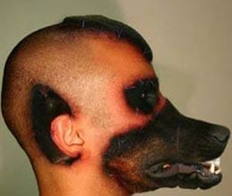 16 people bitten by a mad dog