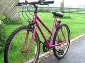  Bicycles distributed to girl students