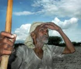 lucknow tops in farmer suicide cases says ncrb report