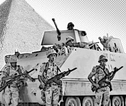 army share in egypt