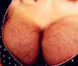 fake hairy breasts now available