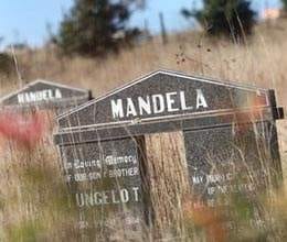 mandela grandson illigation 