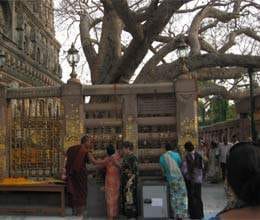 mahabodhi temple serial blasts bombs were planted after midnight