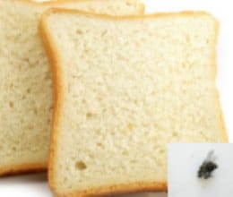 fly found in branded bread