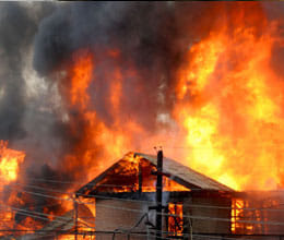  Bursting of crackers, animal feed, people sought compensation