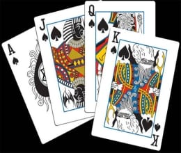 gamblers are freshly elevated in rishikesh