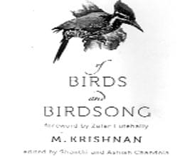 birds and birdsong book review