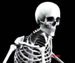 skelton price ten lakh