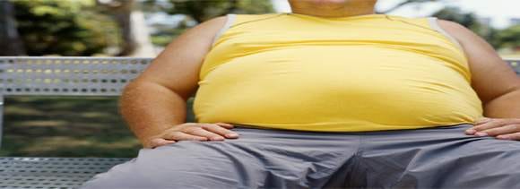 children can be obese through sperm of obese fathers