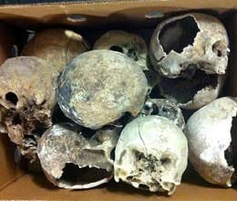 Man arrested for stealing 56 skulls from cemeteries and setting up a skeleton museum