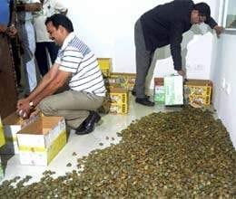 ten thousand turtles seized at kolkata airport