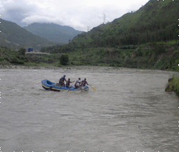 48 died from mansoon in madhyapradesh 