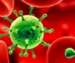 mers virus may attack india through mumbai