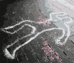 murder in lucknow