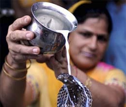 nag panchami celebration in lucknow