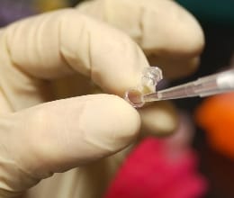 Lucknow News: Genome sequencing of every sample will be done, ready from medical college to district hospital.