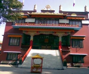 sakya centre dehradun