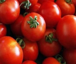 money to buying tomato not for prostitution