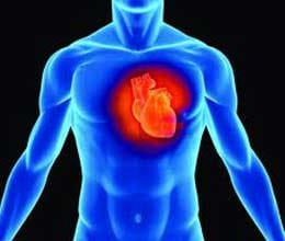 Man survives for record 2 years without heart