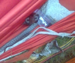 snake in temple