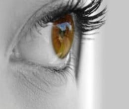 The eyes of a charity, received two life