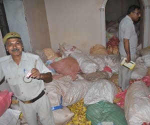 Millions recovered sawdust poppy
