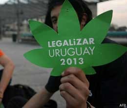 uruguay_marijuana_legal