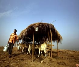 15 thousand milk producers expect relief