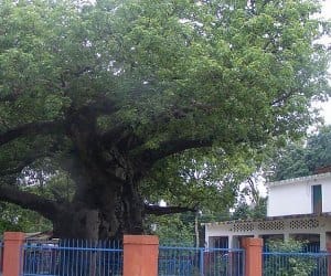 trip to barabanki