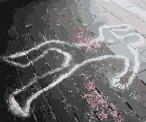 meerut husband arrested to murder wife
