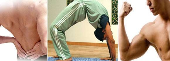 chakrasana for biceps and back pain relief