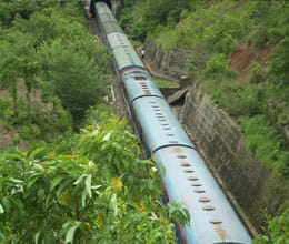 train inside the tunnel